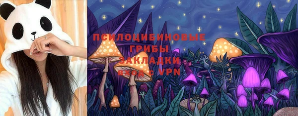 дурь Алексеевка
